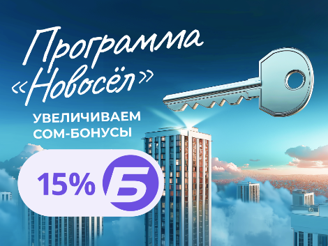 Новосёл