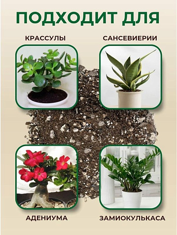 Грунт Terramis для Замиокулькаса 2л органо-минеральный купить в СОМ
