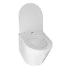 Инсталляция Loranto Prestige 4551, унитаз Azario Teramo AZ-0053 SP, сиденье микролифт, без кнопки купить в СОМ